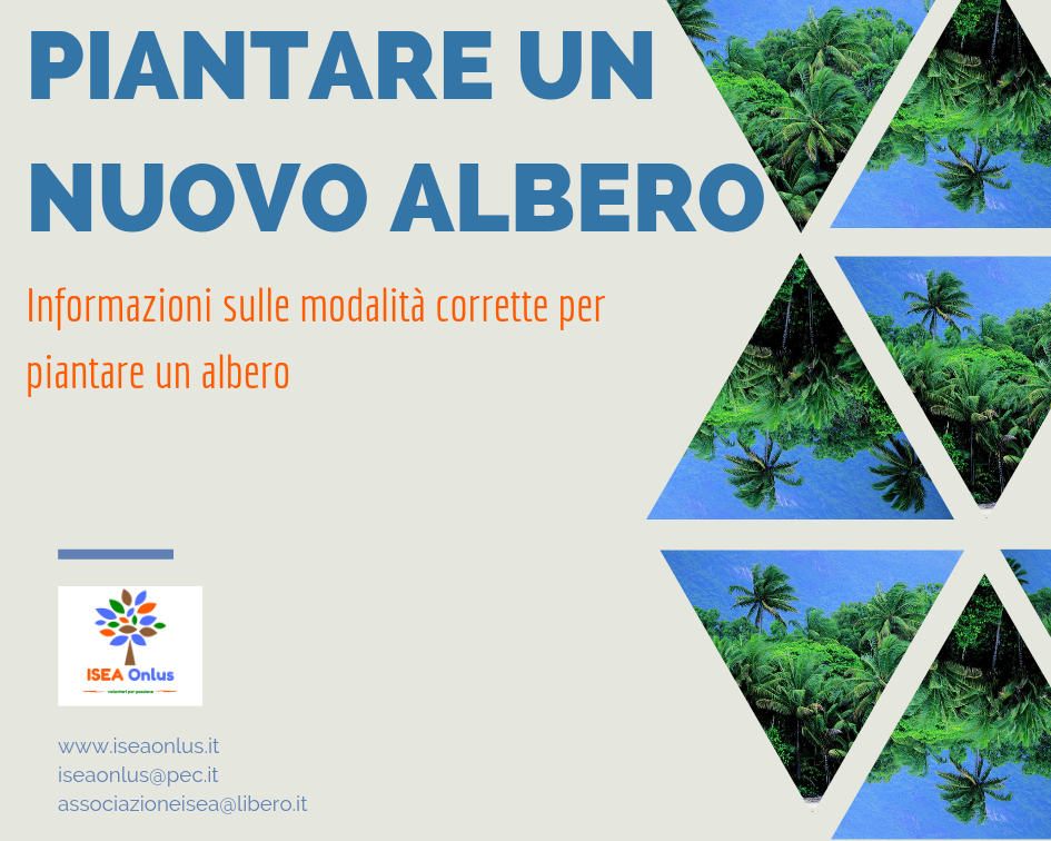 I Quaderni dell'ISEA - Piantare un nuovo albero